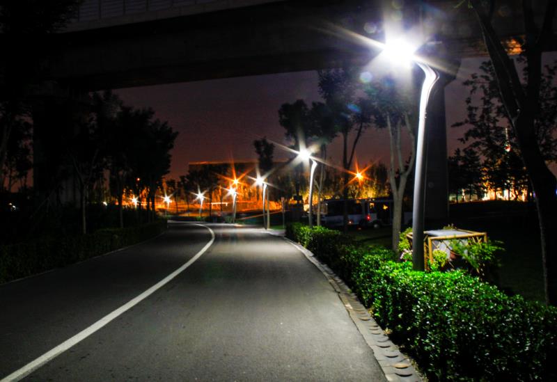 上海浦东新区项目路灯